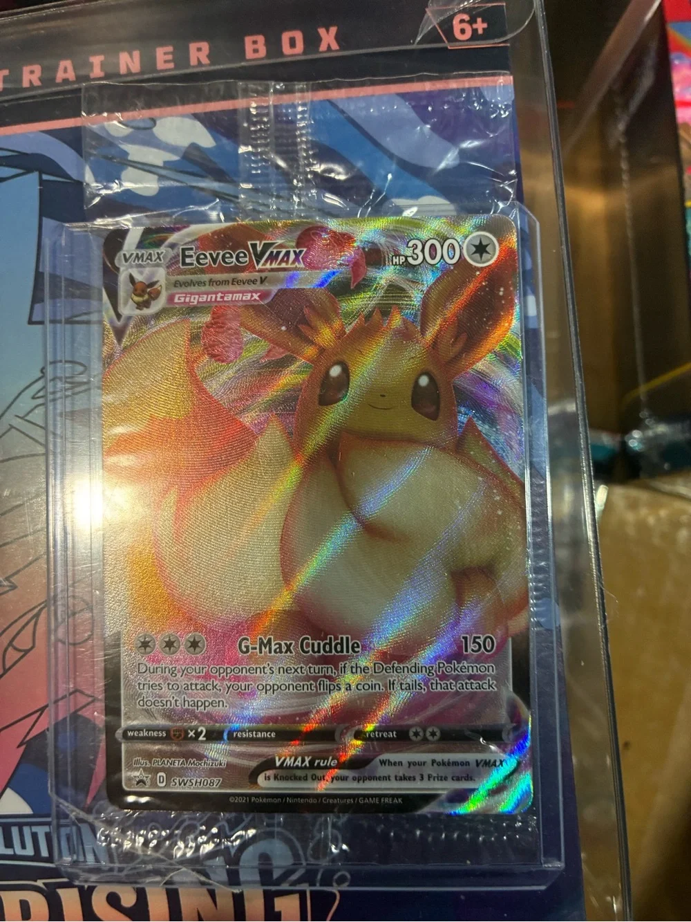Eevee VMAX Holographic Trainer Card - Multicolor